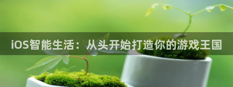 庄闲游戏能赢钱吗：iOS智能生活：从头开始打造你的游戏王国