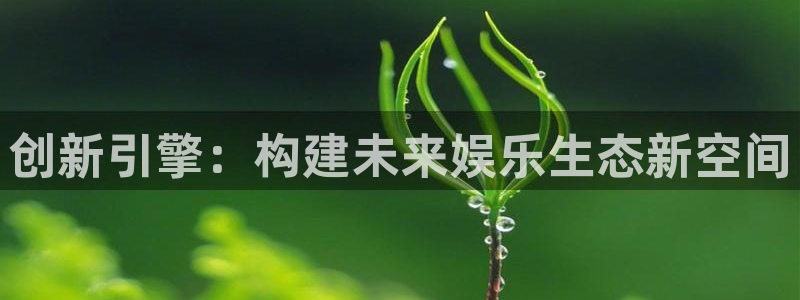 庄闲和游戏中国官网入口