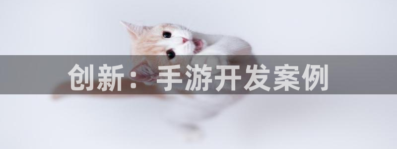 庄闲的游戏创始人是谁