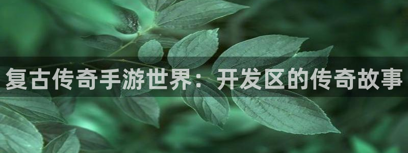 庄闲游戏代理：复古传奇手游世界：开发区的传奇故事