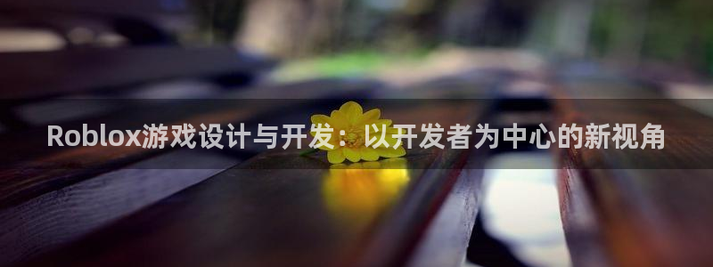 庄闲玩法：Roblox游戏设计与开发：以开发者为中心的新视角