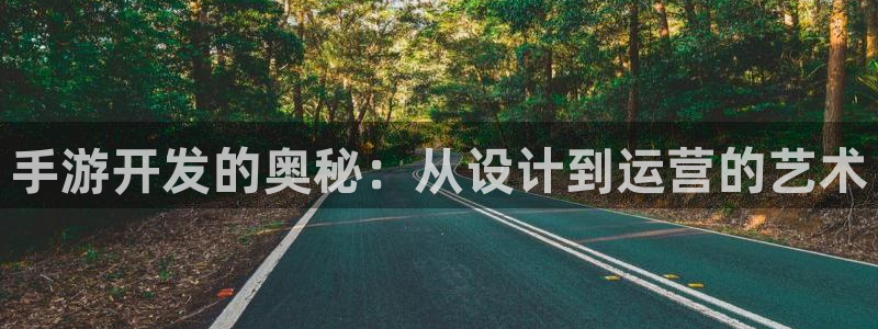 庄闲几率：手游开发的奥秘：从设计到运营的艺术