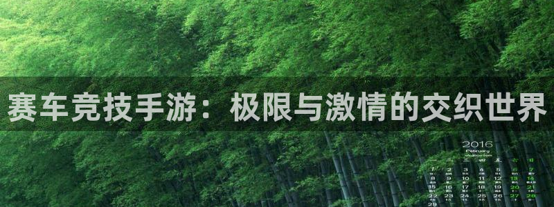 庄闲游戏买对面：赛车竞技手游：极限与激情的交织世界