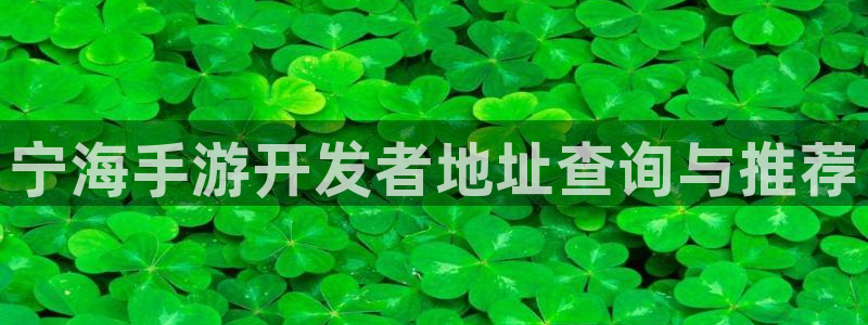 神奇的公式庄闲庄庄闲我来教教你怎么赢：宁海手游开发者地址查询