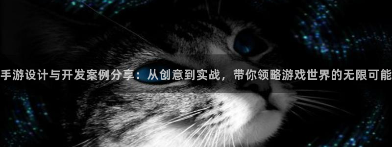 玩庄闲的游戏叫什么：手游设计与开发案例分享：从创意到实战，带