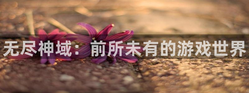 庄闲啥意思：无尽神域：前所未有的游戏世界