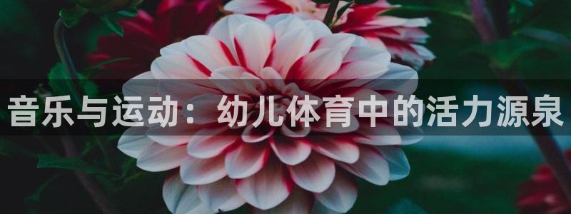 k1体育app