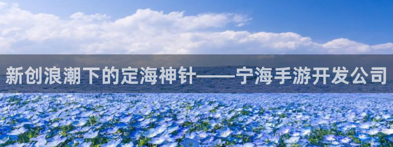 庄闲游戏综合：新创浪潮下的定海神针——宁海手游开发公司