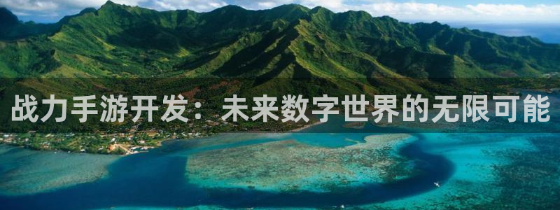 玩庄闲最科学的押法：战力手游开发：未来数字世界的无限可能