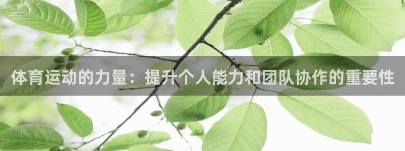 k1体育十年品牌值得信赖