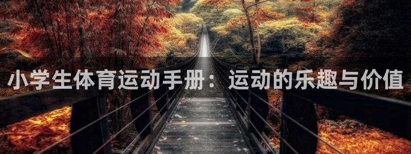 k1体育十年平台