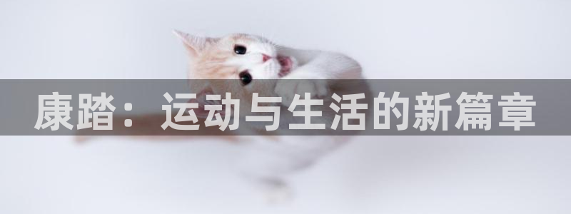 k1体育平台最新网站下载
