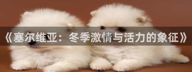 k1体育app