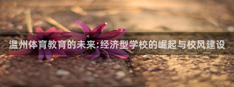 k1体育 十年品牌