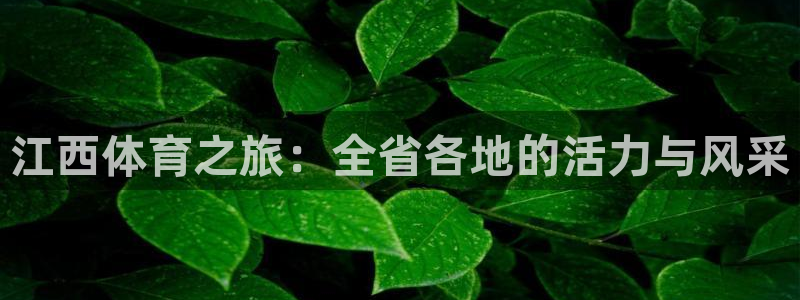 k1体育 十年品牌